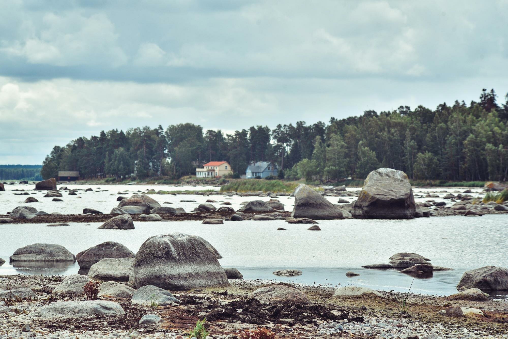 View of Lahemaa National Park, Estonia
