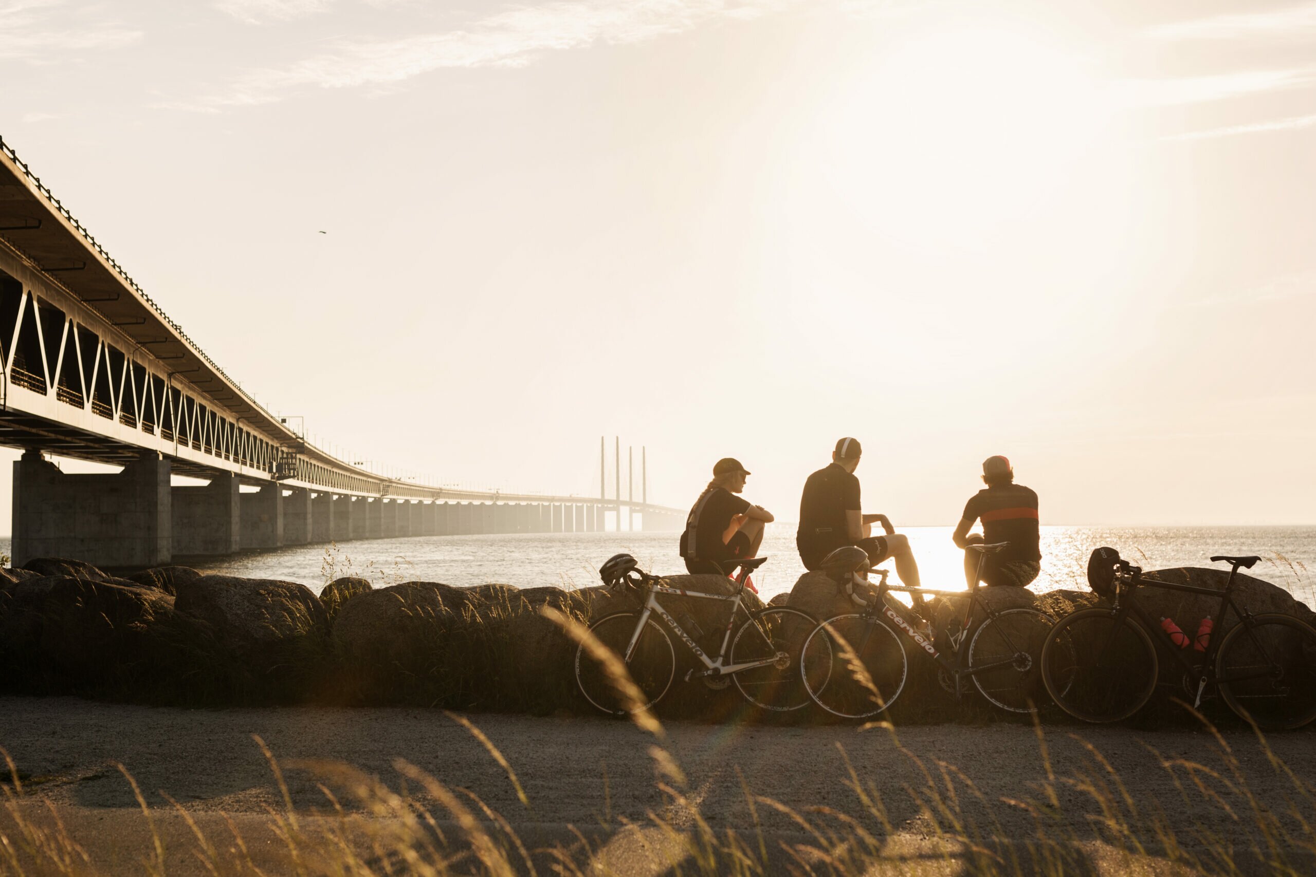 People sitting on rocks with their bikes, looking out to sea in Malmö, Sweden