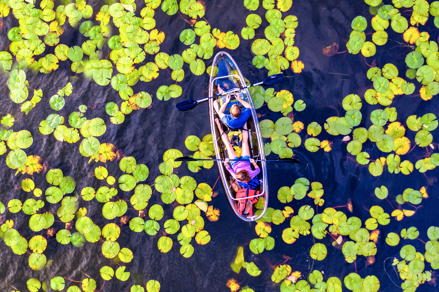 Kayaking through lillies in Winter Park