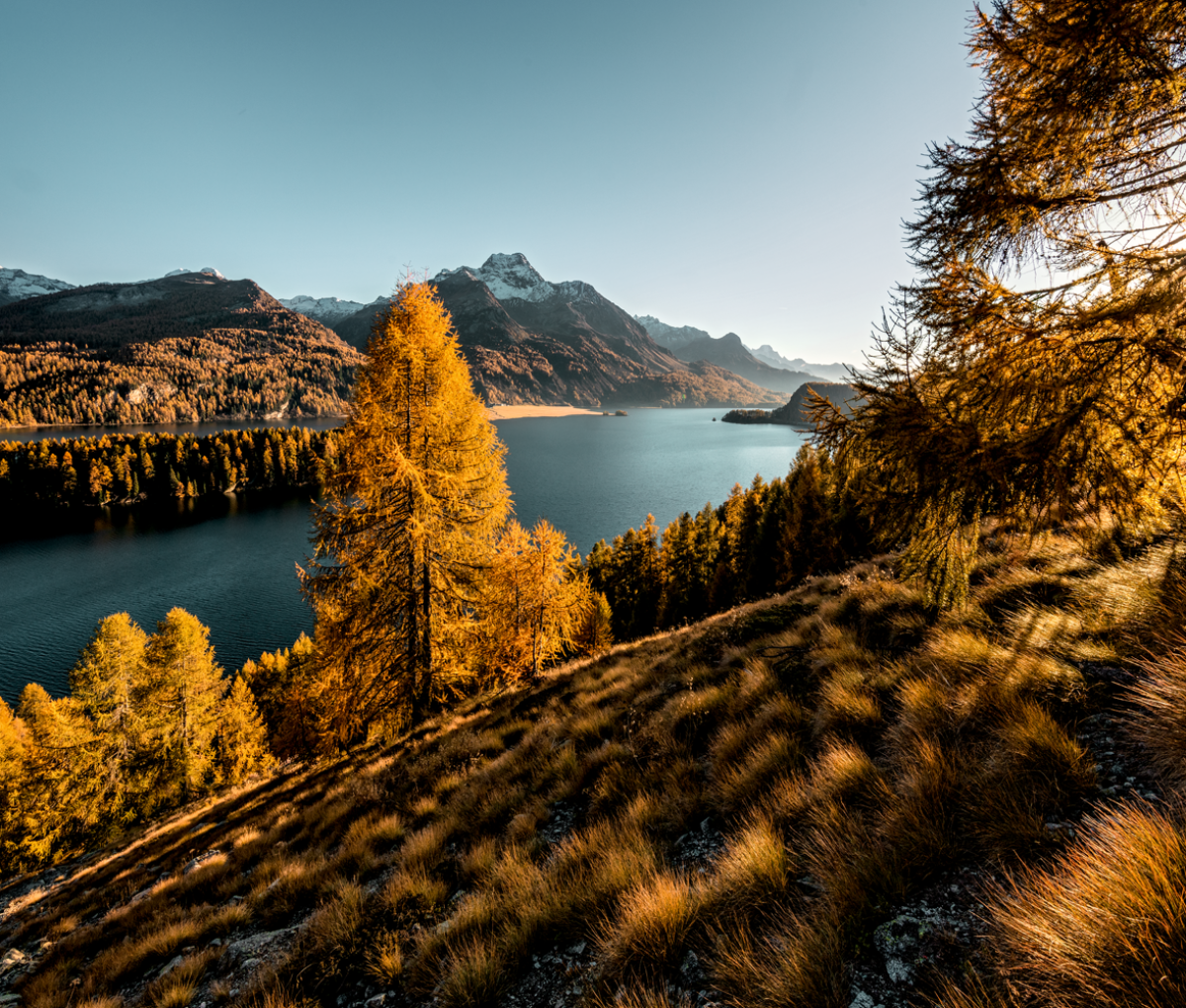 Autumn landscape in Switzerland
