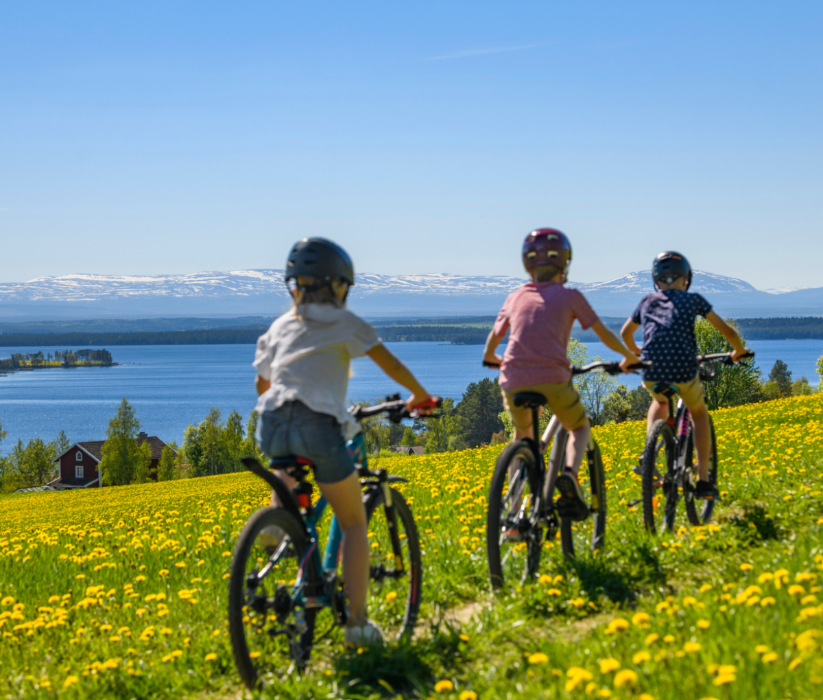 children biking through grass on Frösön Island, Jämtland Härjedalen