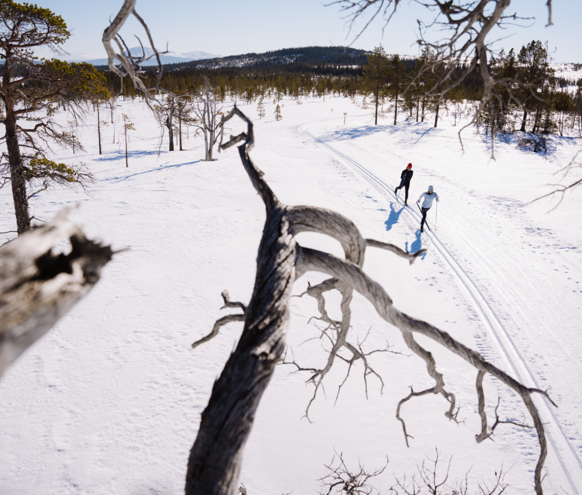 Cross Country skiing through the snow on a mountain in Jämtland Härjedalen, Sweden.