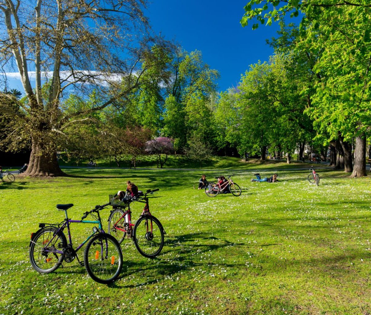 Bikes in Stadtpark, Graz, Austria