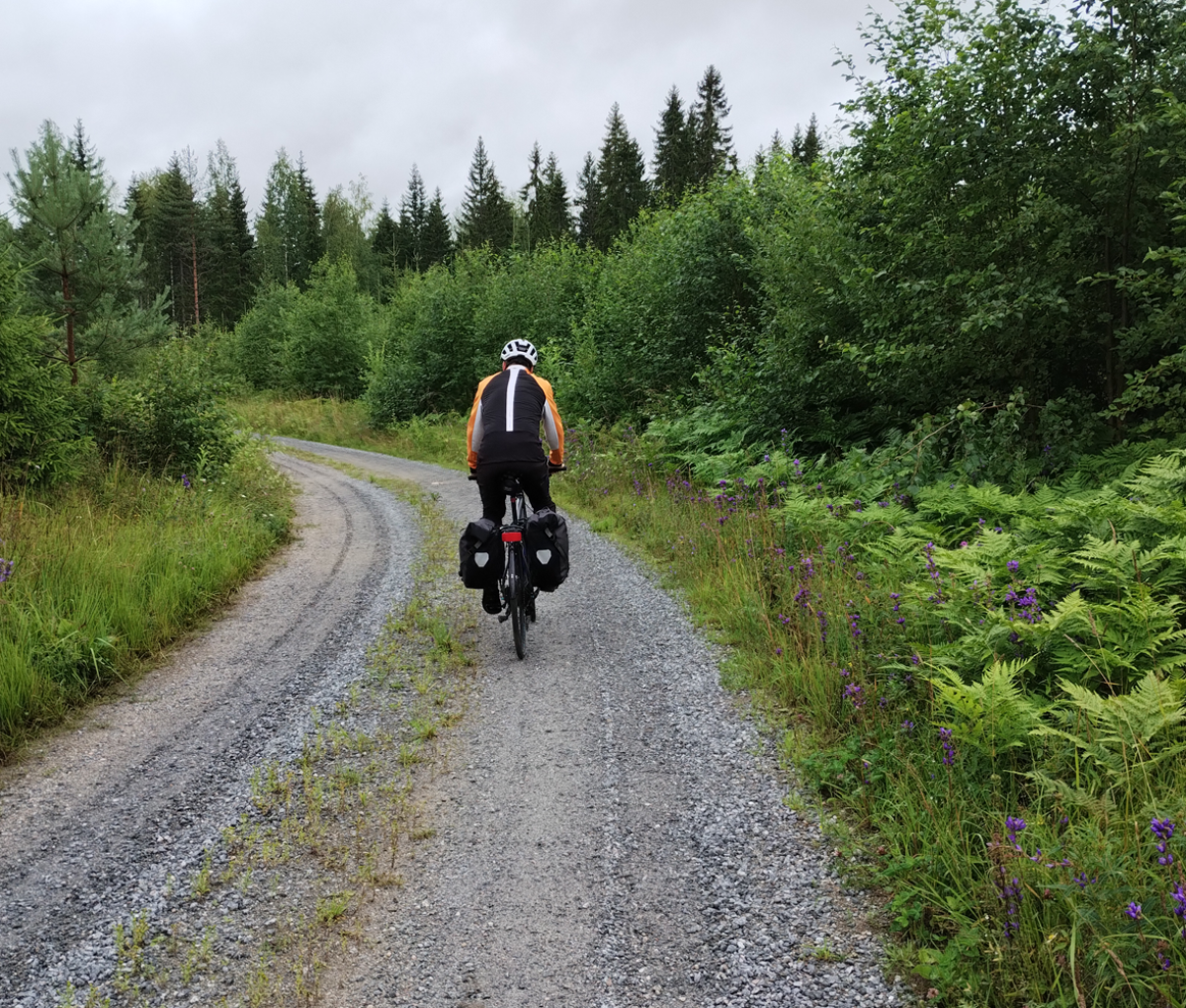 Cycling forest Finland Journeys 10Jan24