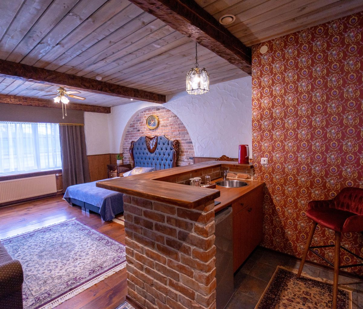 Estonia - Hansa Hotel apartment + kitchen