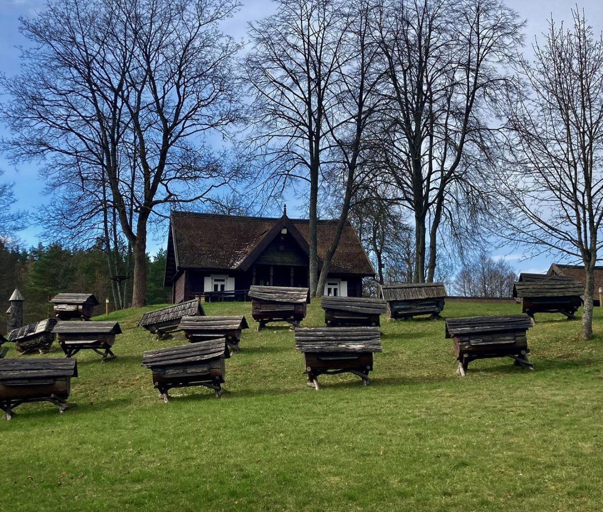 Lithuania - Ancient beekeeping museum