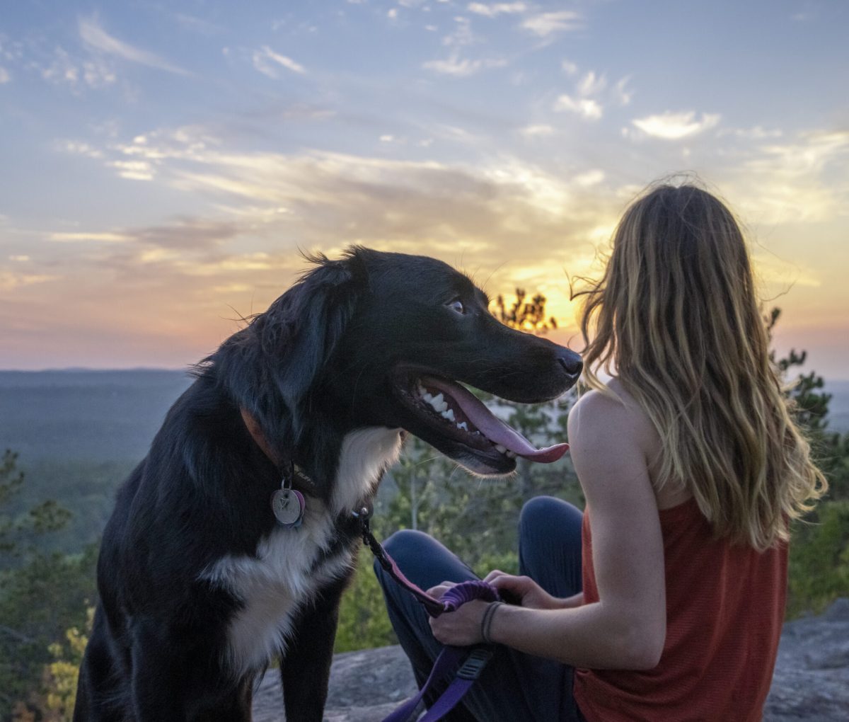 A dog and a girl experiencing the sunset from atop Sugarload Mountain in Marquette, Michigan