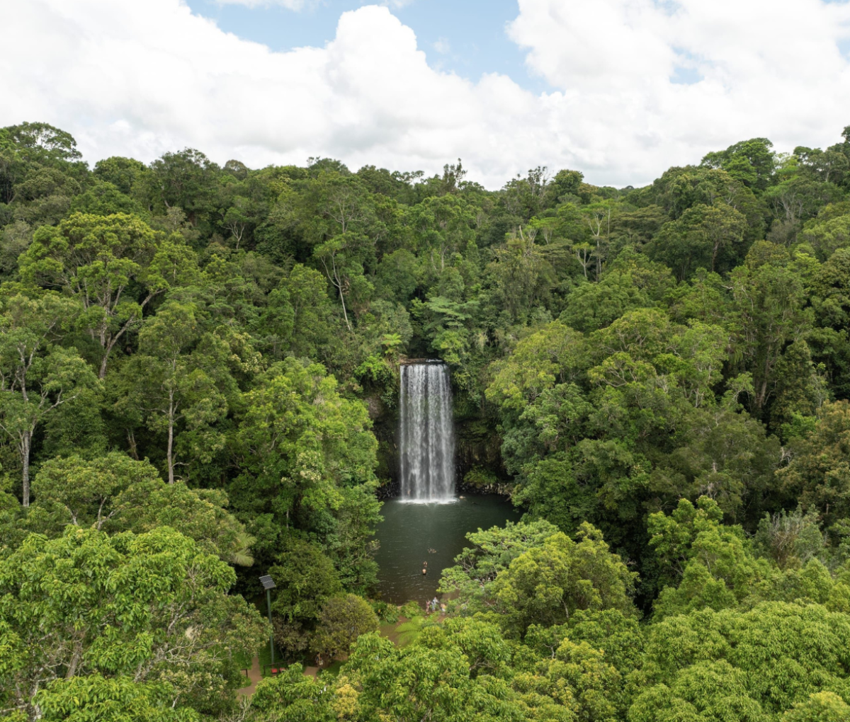 Aerial of couple swimming at Millaa Millaa Falls