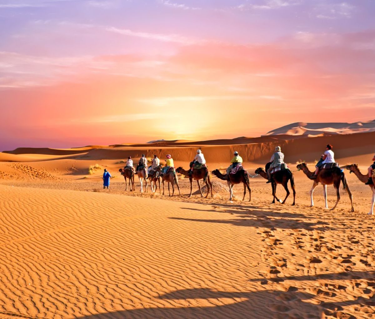 Camel train in the Sahara Desert, Morocco © onmt
