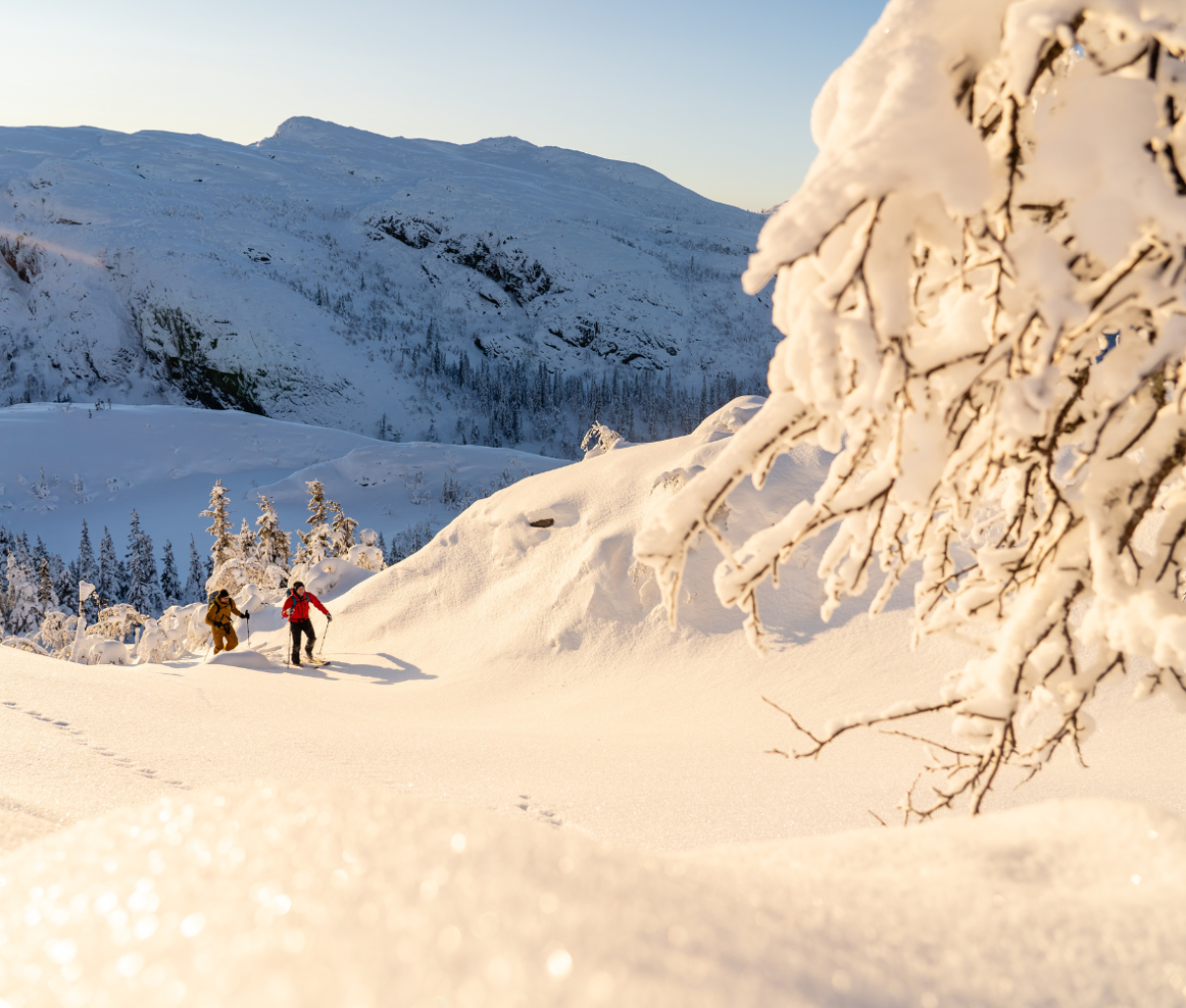 Two people Nordic Skiing in Almdalen, Jämtland Härjedalen, Sweden