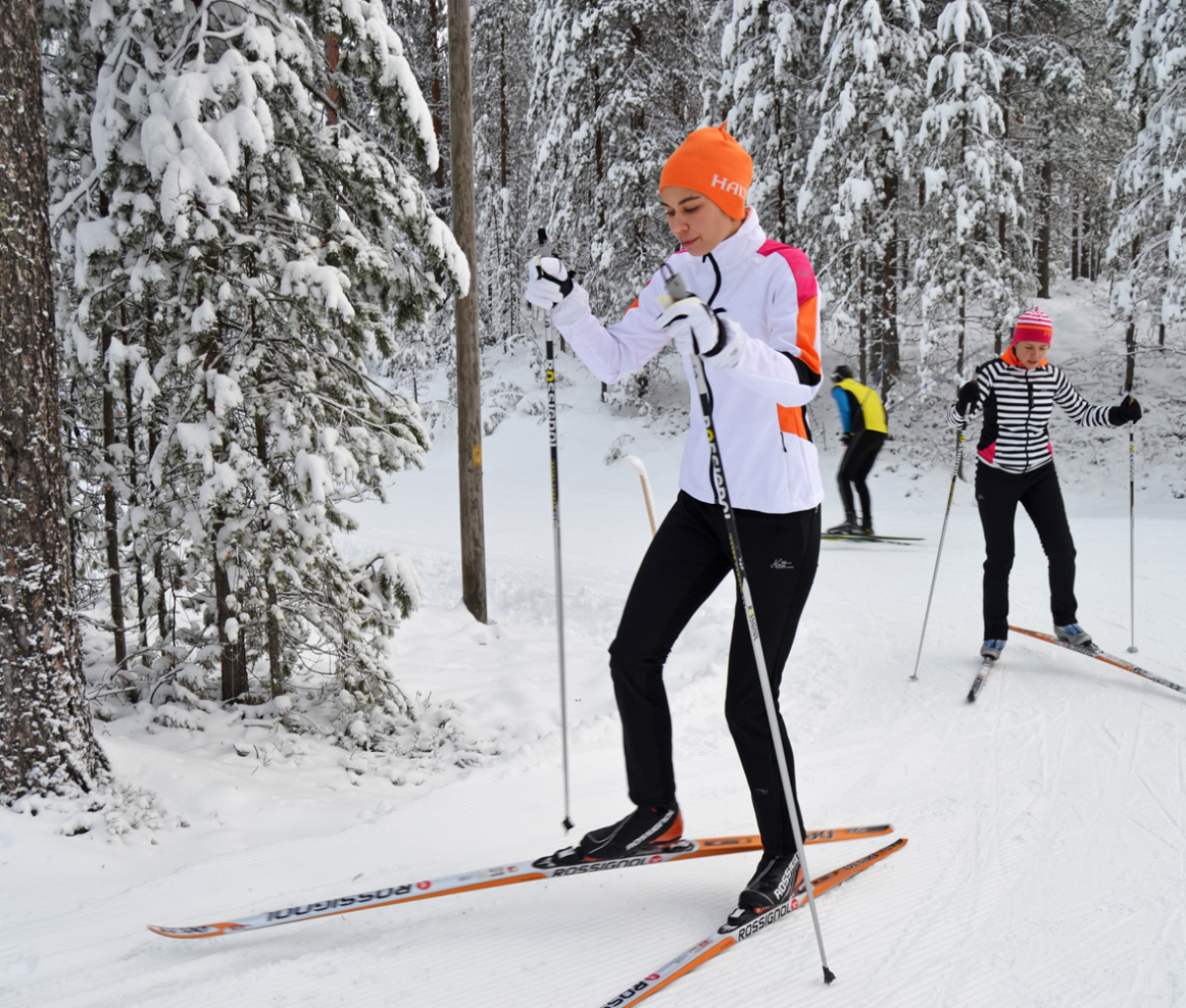 Posio Cross County Skiing Finland Journeys 10Jan24