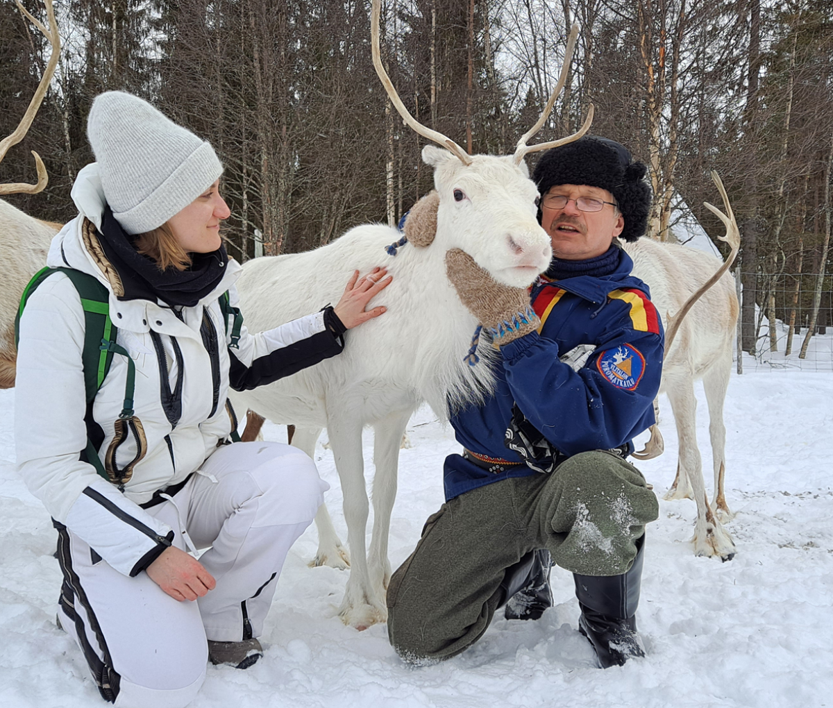 Posio Reindeer Finland Journeys 10Jan24