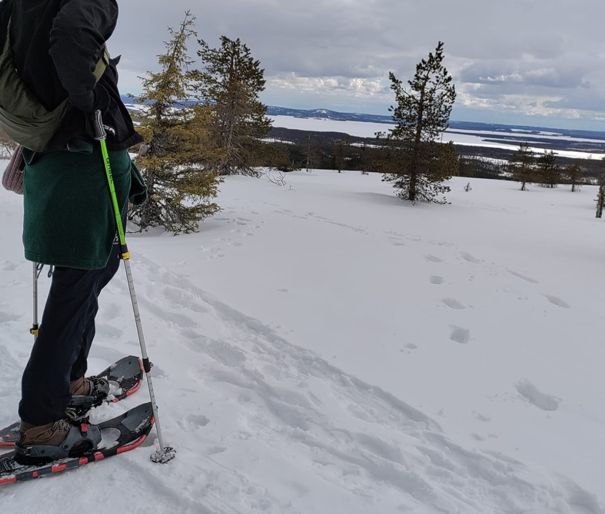 Posio Snowshoeing Riisituntri Finland Journeys 10Jan24