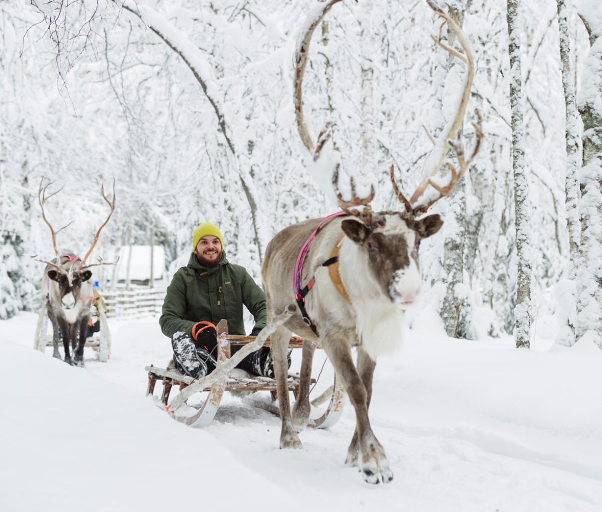 Reindeer sleigh ride Rovaniemi Finland Place 12Jan24