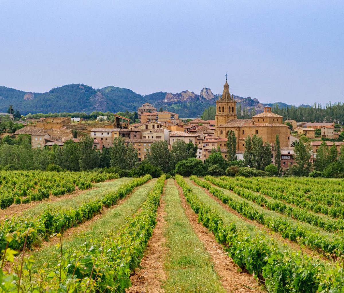 Rioja Alta Wine Route, La Rioja, Spain